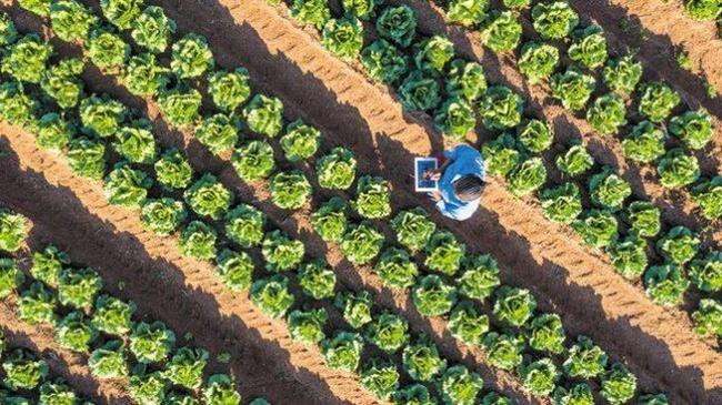 Η αγροτεχνολογία πρέπει να είναι προσβάσιμη για όλους τους Έλληνες αγρότες