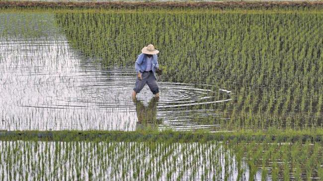 Κίνα: Χρηματοδοτήσεις 181,8 εκατ. δολαρίων για την αύξηση της αγροτικής παραγωγής