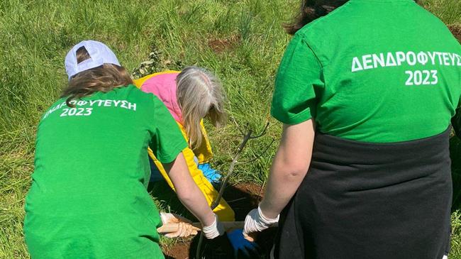 Αναδασώσεις σε τρεις περιοχές των Ιωαννίνων