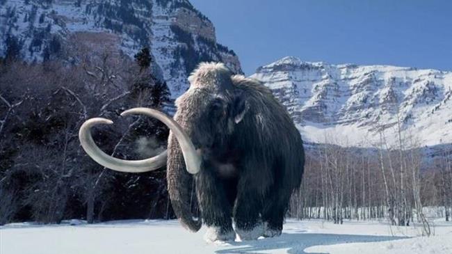 Το «τρελό» μέλλον που φέρνει η τεχνολογία με εμφυτευμένα κινητά, μπιφτέκια από μαμούθ, μέλι χωρίς… μέλισσες