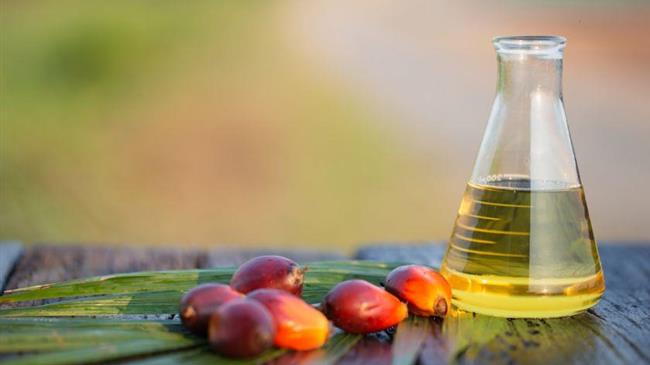 Οι εισαγωγές φοινικέλαιου στην ΕΕ συνεχίζουν την πτωτική πορεία