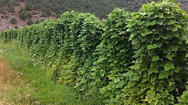 Πρέσπες: Κατάρτιση ανέργων – Εστίαση στην αγροτική επιχειρηματικότητα