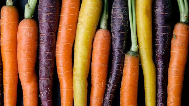 Παγκόσμια ημέρα καρότου