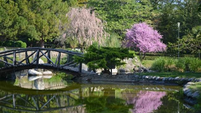 Έρευνα: Οι άνθρωποι που ζουν κοντά σε πράσινους χώρους είναι βιολογικά νεότεροι κατά δυόμισι χρόνια