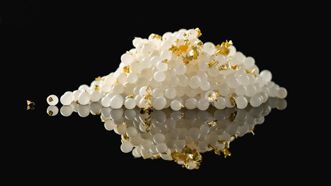 «Λευκό χαβιάρι»: Καινοτόμες εταιρίες από τη Λάρισα παράγουν εκχύλισμα από αυγά λευκού σαλιγκαριού