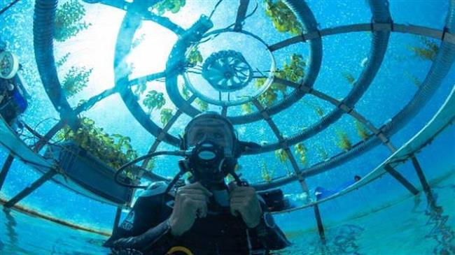 Nemo’s Garden: Το μέλλον της γεωργίας θα μπορούσε να είναι... υποθαλάσσιο