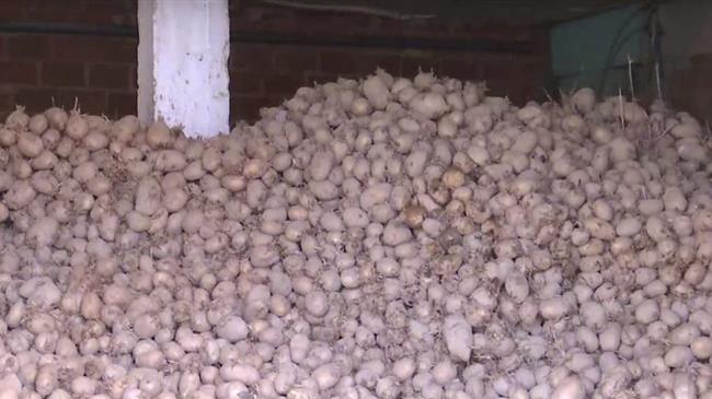 Σέρρες: Βουνό με απούλητες πατάτες, ξεσπάσματα από παραγωγούς