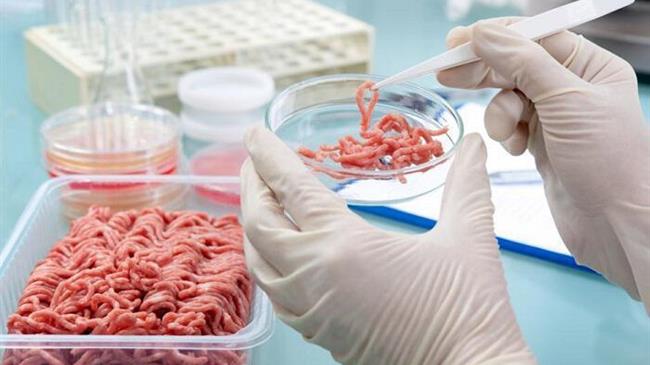 Ιταλία: Λέει ΟΧΙ στη χρήση καλλιεργημένου κρέατος