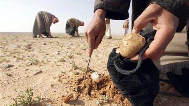 Συρία: Τουλάχιστον 41 νεκροί από επιθέσεις του ΙΚ εναντίον βοσκών και ανθρώπων που μάζευαν τρούφες στην έρημο