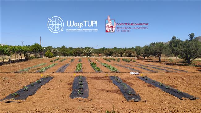 «Μεταφορά καλών πρακτικών στην αξιοποίηση της λυματολάσπης, του κατσίγαρου και του κομπόστ ως αγροτικά προϊόντα».