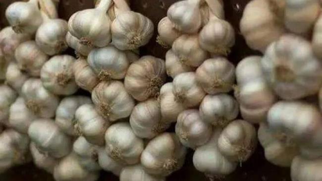 «Στοπ» από την Ε.Ε. στα κινέζικα σκόρδα