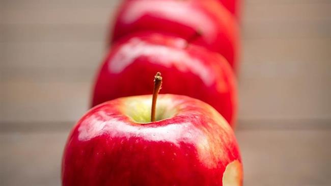 Κόκκαλης σε Τσιάρα: Δώστε ημερομηνία πληρωμής για τις αποζημιώσεις σε μήλο και κάστανο