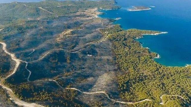 Πωλητήριο σε καμένο δάσος στην Αργολίδα – Πωλείται έναντι 100 εκατ. ευρώ