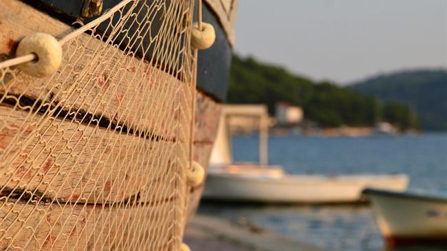 Οι αιτήσεις για ενίσχυση αλιέων της Θεσσαλίας που επλήγησαν από τον Daniel