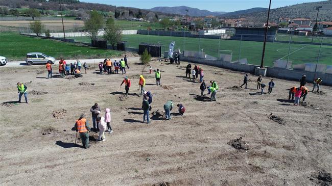 Δενδροφυτεύσεις και εκπαιδεύσεις από τη ΔΕΗ και τη We4all