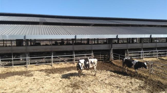 Απογραφή κτηνοτροφικών εγκαταστάσεων στην Χαλκιδική έως 31 Δεκεμβρίου 2025