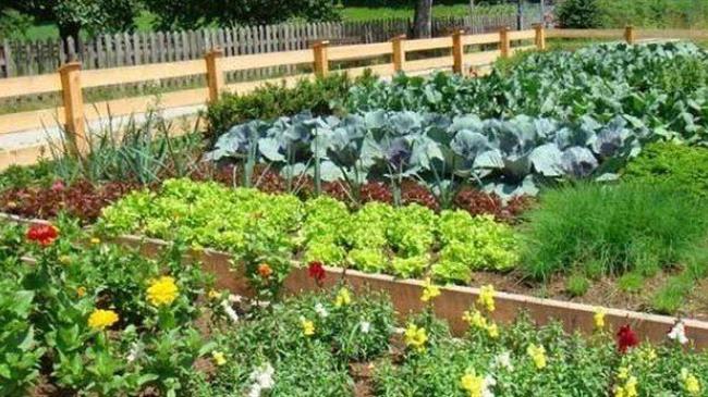 Πτώση του όγκου στις εξαγωγές νωπών προϊόντων της Ισπανίας