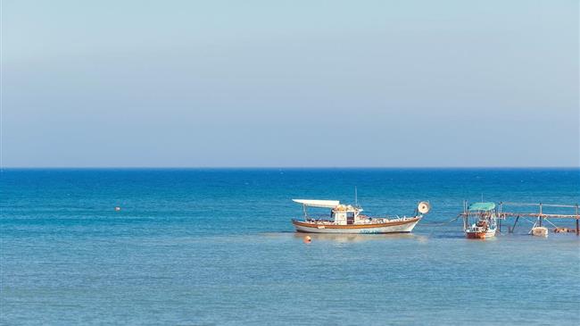 A Sea Change: Sustainable Shipping Solution to Generate Carbon Credits