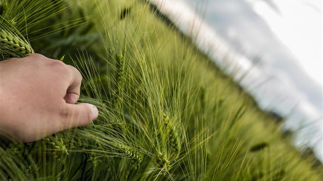 «Φεύγουν» αρμοδιότητες από τον ΟΠΕΚΕΠΕ – Σε ποιες υπηρεσίες πηγαίνουν