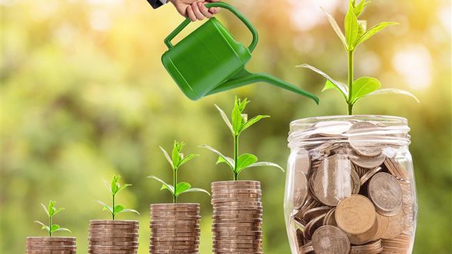 Βιολογικές καλλιέργειες 2023: Ολοκληρώθηκε η πληρωμή της 1ης εκκαθάρισης