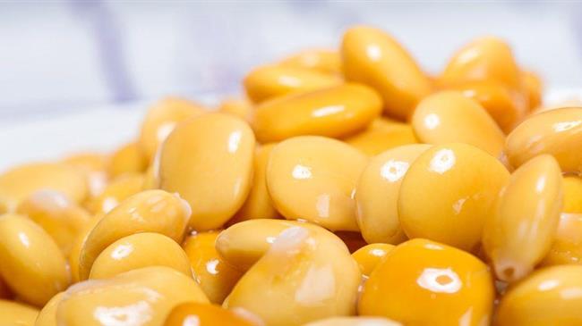 Αποτελέσματα ερευνών για την πρωτείνη λούπινου