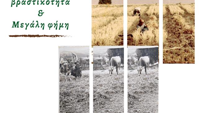 Διήμερη Εκδήλωση για το Ρεβίθι Γρεβενών