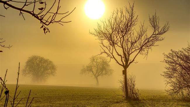 Κόκκαλης: Η συνεχής απουσία του Αυγενάκη από την Βουλή προσβάλει την κυβέρνηση και την ίδια την Δημοκρατία