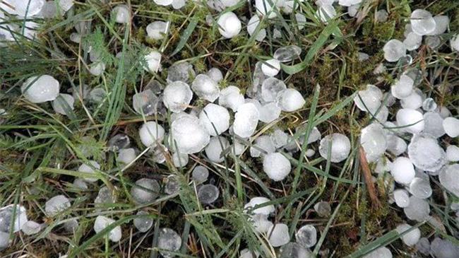 Δηλώσεις για ζημιές από χαλάζι στο Δήμο Καστοριάς