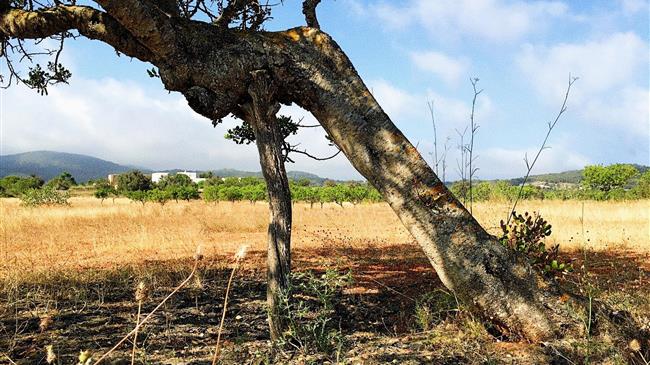 Ισπανία: 2 δισεκατομμύρια ευρώ για την στήριξη του πρωτογενή τομέα
