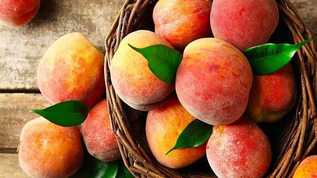 Η Πορτογαλία φιλοξένησε την ετήσια συνάντηση των τεσσάρων χωρών για το μέλλον των πυρηνόκαρπων