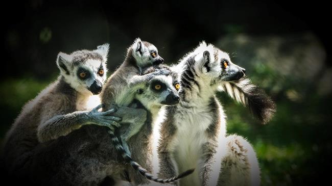 Η φιλοσοφία του εμπορίου των αγροτικών προϊόντων