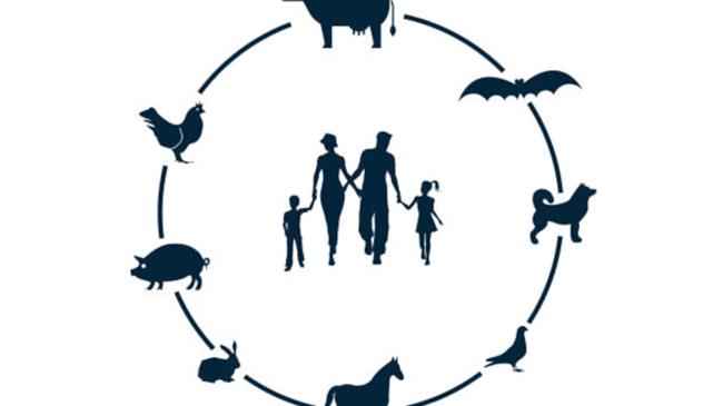 Ζωοανθρωπονόσοι στην Περιφέρεια Δυτικής Μακεδονίας. Προσέγγιση ενιαίας υγείας