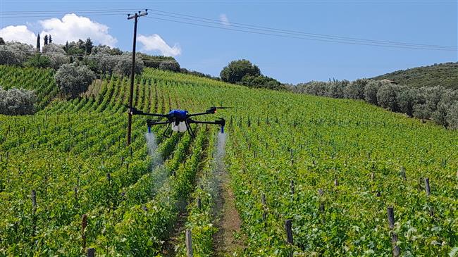 FAO: Η τεχνητή νοημοσύνη μπορεί να μεταμορφώσει τα συστήματα αγροδιατροφής