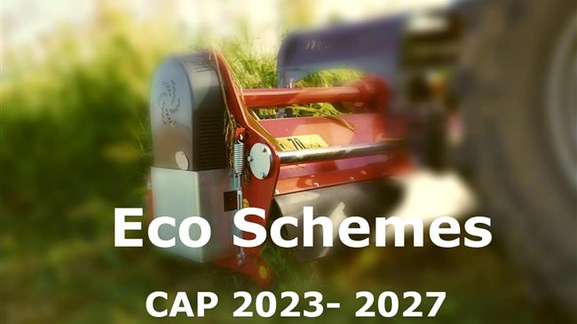 Eco Schemes: Δημοσιεύθηκαν οι εφαρμοστικές – Τι πρέπει να προσέξει ένας αγρότης