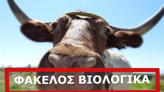 Εταιρίες πιστοποίησης βιολογικών ζητούν από αγρότες να υπογράψουν συμβάσεις 12ετούς διάρκειας (!)