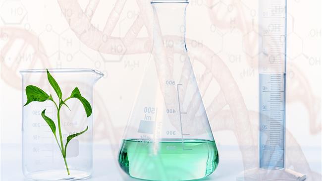 ΕΕ: Χαλαρώνουν οι κανόνες για τις καλλιέργειες με γονιδιακή επεξεργασία