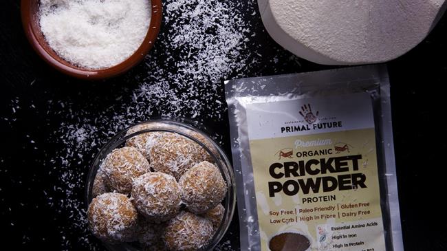 Ε.Ε: Έδωσε έγκριση σε 4 έντομα ως «νέα τρόφιμα»