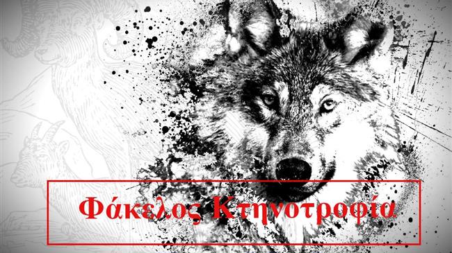 Κτηνοτροφία: Ποιοι είναι οι "λύκοι" που κρατούν τα πρόβατα στο μαντρί