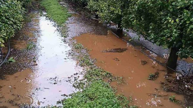 Χαλαζόπτωση στη Θεσσαλία: Σε απόγνωση οι αγρότες από καταστροφές σε αμπέλια, αχλάδια και ροδάκινα