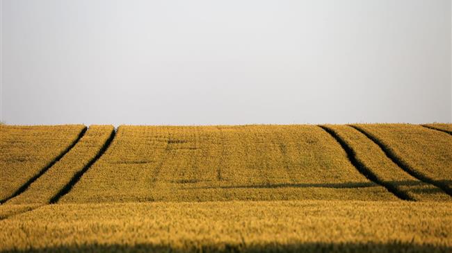 Ουκρανία: Στους 48,4 εκατ. τόνους οι εξαγωγές σιτηρών τη σεζόν 2022/23