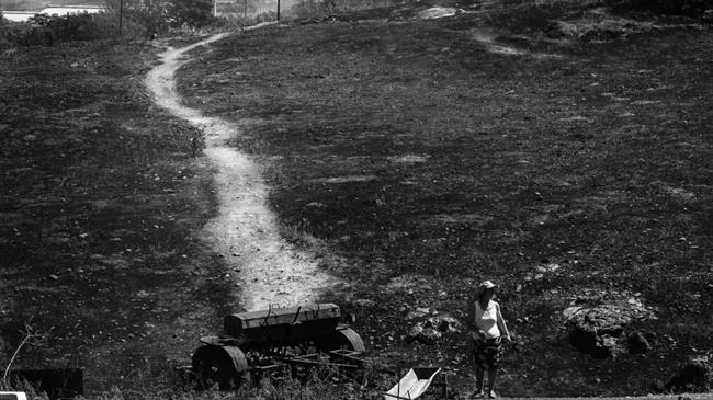 Μαγνησία: Κάηκαν πολλά ζώα