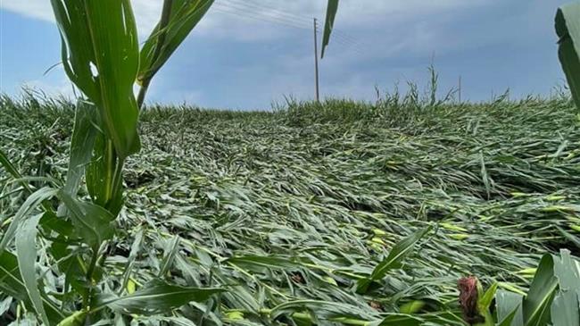 Ξάνθη: Κλιμάκιο του ΕΛΓΑ για τις καταστροφές σε καλλιέργειες