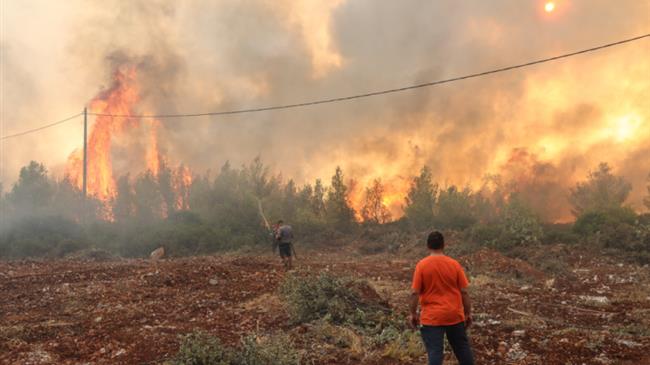 Ρόδος: Κλιμάκιο του ΕΛΓΑ στις πληγείσες περιοχές