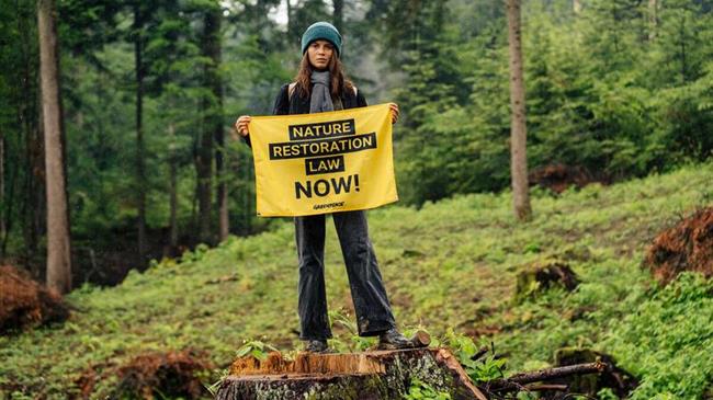 Greenpeace: Το Ευρωπαϊκό Κοινοβούλιο υπερψήφισε νόμο-ορόσημο για την αποκατάσταση της φύσης της Ευρώπης!