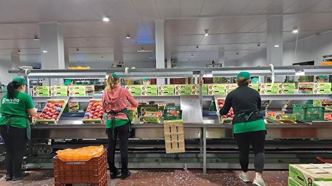 ΑΣΕΠΟΠ Βελβεντού: Το μυστικό για τη θρεπτική υπεροχή και αξία του κλαρίσιου ροδάκινου