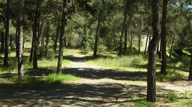Σκυλακάκης: Εδώ και πολλές δεκαετίες δεν υπάρχει διαχείριση στα δάση της Αττικής