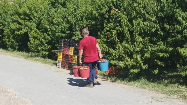 Ο «γρίφος» των εργατών γης στην Ελλάδα