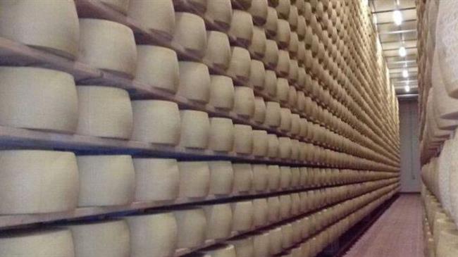 Ιταλία: Τυροκόμος σκοτώθηκε από χιλιάδες κεφάλια τυριού