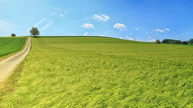 Περιφερειακό Συμβούλιο Πελοποννήσου: Ζητάμε συγκεκριμένη πολιτική για να μην εγκαταλειφθεί η ύπαιθρος