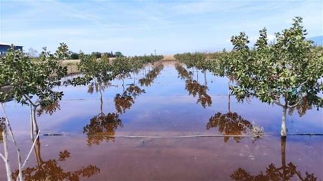 Νέα Αριστερά: «Σε δραματική κατάσταση ο ΕΛΓΑ – Παραμένουν χωρίς αποζημιώσεις οι παραγωγοί»